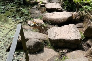 Lissabon: Halve dagtrip naar Sintra en het paleis van Monserrate