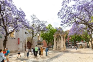 Lissabon: Historie, historier og livsstilsvandring