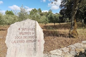Lisbona: Tour privato della Chiesa del Santo Miracolo di Santarem e Fatima