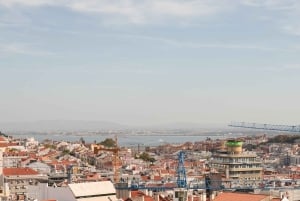 Lissabon: Markt tot Rooftop Wijn & Culinaire gastronomische procureur