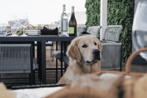 Lissabon: Markt tot Rooftop Wijn & Culinaire gastronomische procureur