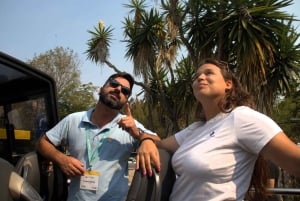 Lisboa: Sintra, Pena-palasset, Regaleira og Cabo da Roca