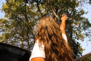 Lisboa: Sintra, Pena-palasset, Regaleira og Cabo da Roca