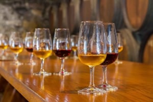 Lisbona: Degustazione di vino Porto