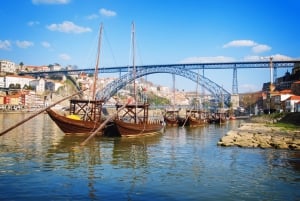 Lissabon: Yksityinen päiväretki Portoon viininmaistajaisilla