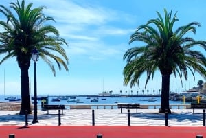 Lissabon: Privat Sintra, Pena Palace, Cabo da Roca og Cascais