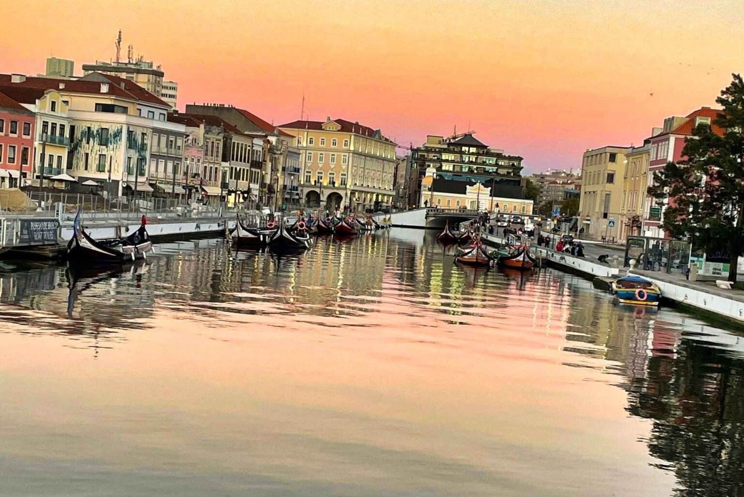Lissabon: Privat transfer till Porto med stopp till 3 städer