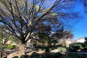 Lisboa: Saint George's Castle Entry & City Self-Guided Tours