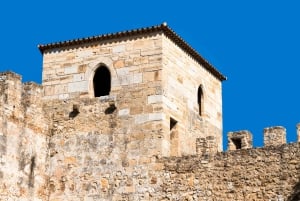 Lissabon: Sao Jorge Slot Skip køen-billet med guide