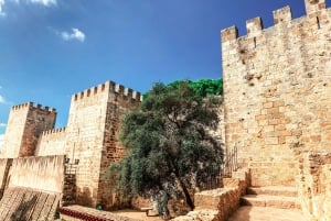 Lissabon: Sao Jorge Slot Skip køen-billet med guide