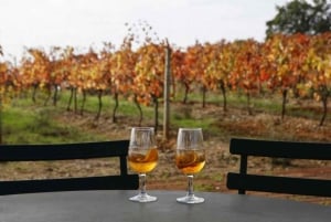 Lizbona: Setúbal, Arrábida i Azeitão - prywatna wycieczka winiarska