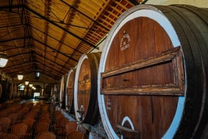 Lisboa: Sintra, Palácio da Pena e Degustação de Vinhos Tour em Pequenos Grupos
