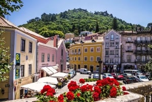 Lisboa: Sintra, Palácio da Pena e Degustação de Vinhos Tour em Pequenos Grupos