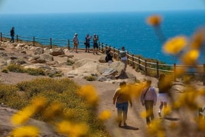 Lisboa: Sintra, Palácio da Pena e Degustação de Vinhos Tour em Pequenos Grupos