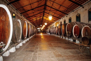 Lisboa: Sintra Off the Beaten Path Tour med vinsmaking