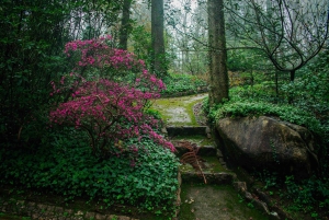 Lisboa: Sintra Off the Beaten Path Tour med vinsmaking