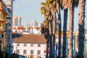 Lisboa: Sintra Off the Beaten Path Tour med vinsmaking