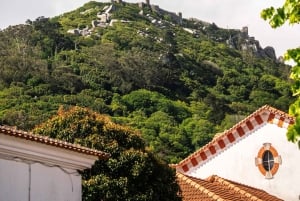 Lisboa: Sintra Off the Beaten Path Tour med vinsmaking