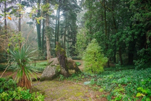 Lisboa: Sintra Off the Beaten Path Tour med vinsmaking