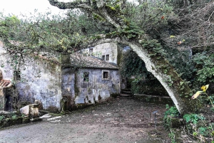 Lisboa: Sintra Off the Beaten Path Tour med vinsmaking