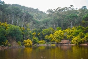 Lisboa: Sintra Off the Beaten Path Tour med vinsmaking