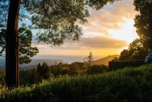 Lisboa: Sintra Off the Beaten Path Tour med vinsmaking