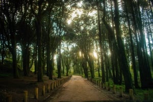 Lisboa: Sintra Off the Beaten Path Tour med vinsmaking