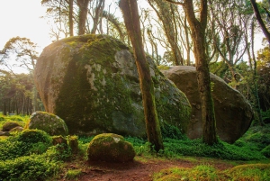 Lisboa: Sintra Off the Beaten Path Tour med vinsmaking