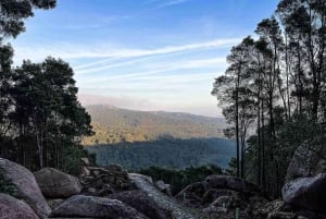 Lisboa: Sintra Off the Beaten Path Tour med vinsmaking