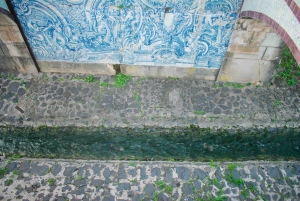 Lisboa: Sintra Off the Beaten Path Tour med vinsmaking