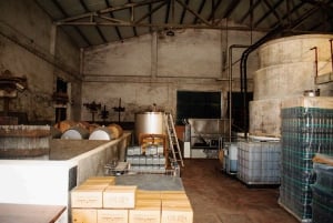 Lisboa: Sintra Off the Beaten Path Tour med vinsmaking