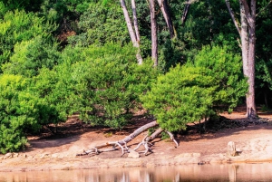 Lisboa: Sintra Off the Beaten Path Tour med vinsmaking