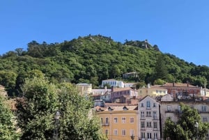 Lissabon: Sintra, Pena Palace, Cabo Roca-kysten og Cascais-tur