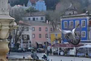 Lisbona: Sintra, Palazzo Pena, Quinta Regaleira, Cascais Tour