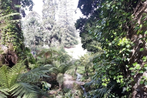 Lisbona: Sintra, Palazzo Pena, Quinta Regaleira, Cascais Tour