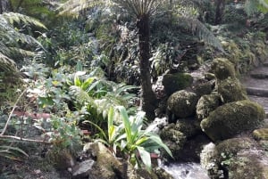 Lisbona: Sintra, Palazzo Pena, Quinta Regaleira, Cascais Tour