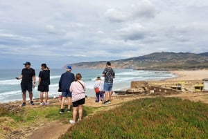 Lisbona: Sintra, Palazzo Pena, Quinta Regaleira, Cascais Tour