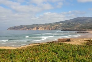 Lisbona: Sintra, Palazzo Pena, Quinta Regaleira, Cascais Tour