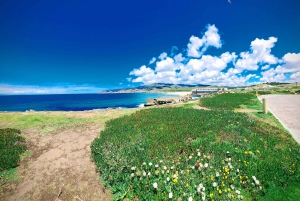 Lisbona: Sintra, Palazzo Pena, Quinta Regaleira, Cascais Tour