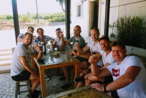 Lizbona: Południowe zabytki miasta i wycieczka kulturalna z winem