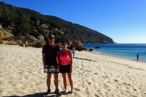 Lisboa: Tour particular 'Vinhos e Paisagens do Sul