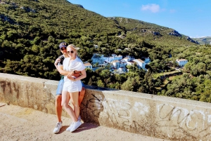 Lisboa: Tour particular 'Vinhos e Paisagens do Sul