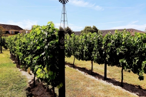 Lisboa: Tour particular 'Vinhos e Paisagens do Sul