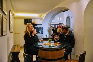 Lisboa: Tour particular 'Vinhos e Paisagens do Sul