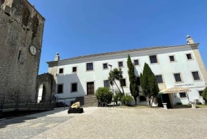 Lissabon: Tur til Cristo Rei, Setúbal, Arrábida, Azeitão, Palmela