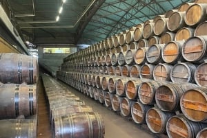 Lissabon: Tur til Cristo Rei, Setúbal, Arrábida, Azeitão, Palmela