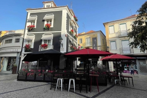 Lissabon: Tur til Cristo Rei, Setúbal, Arrábida, Azeitão, Palmela