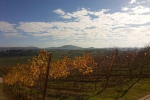 Wijnproeverij Lissabon privétour