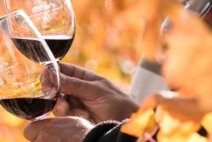 Lissabon Weinverkostung