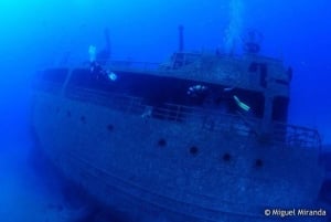 Мадейра: 4-часовое погружение с аквалангом с острова Порто-Санту